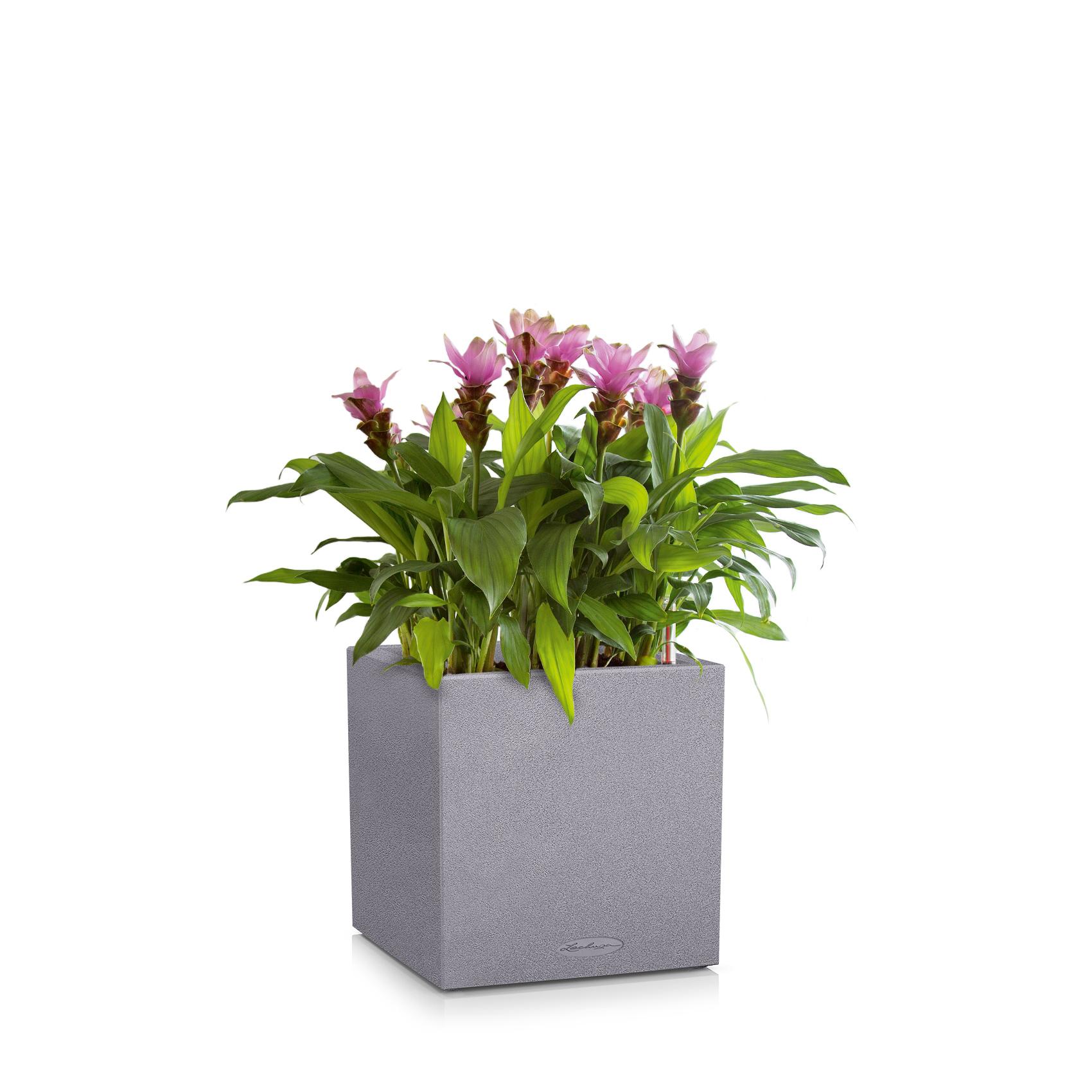 CANTO Stone 30 low stone grey